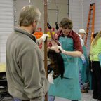Furbearer Ecology Workshop